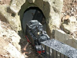 Loco131